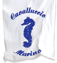 Stabilimento Balneare Cavalluccio 